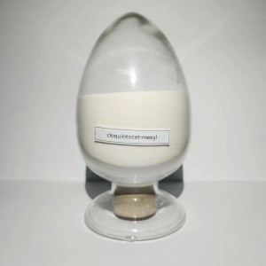 Cloquintocet-Mexyl