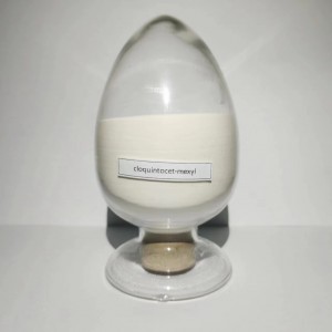 Cloquintocet-Mexyl